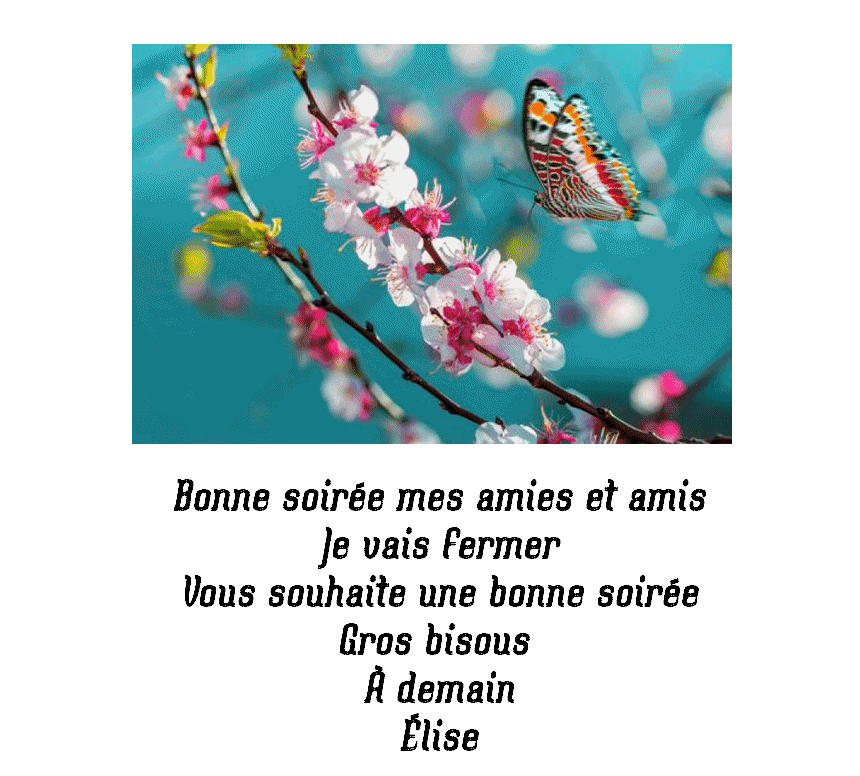 12__BONNE_SOIREE_MES