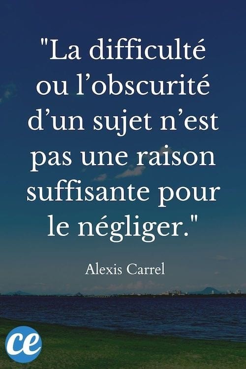 Le Dicton Du Jour