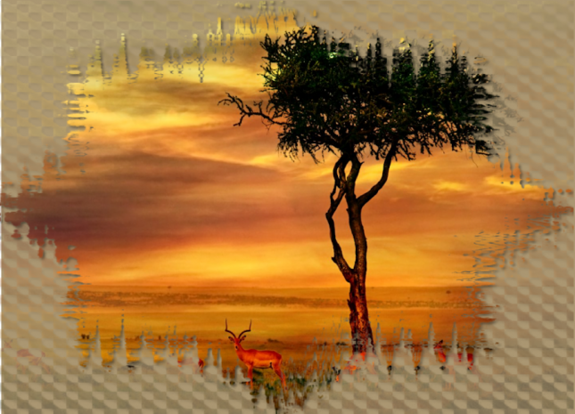 2022_8_16_ELISE_FOND_PAYSAGE_PERSO