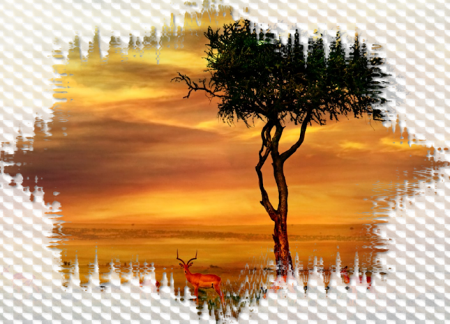 2022_8_16_ELISE_TUBE_PAYSAGE__MIXED_PERSO