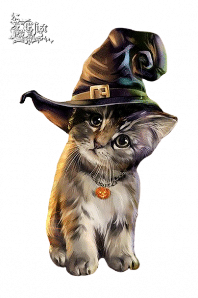 2023_10_7_ELISE_TUBE__CHAT_2