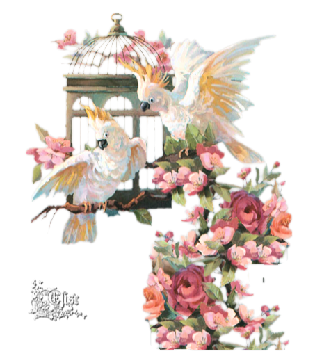 2024_10_21_ELISE_TUBE___2_PERROQUETS