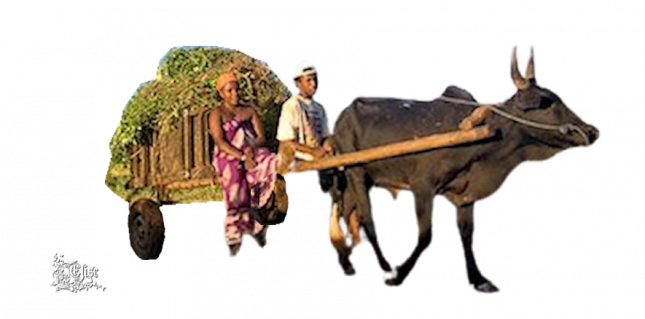 2024_1_13_ELISE_TUBE_AFRIQUE