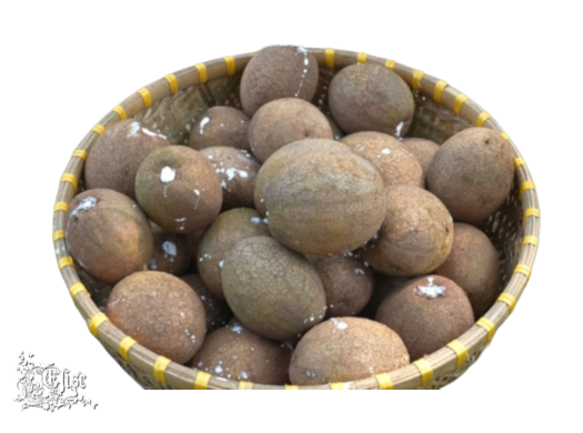 2024_4_9__ELISE_TUBE_6__FRUITS_COREEN_SAPODILLA