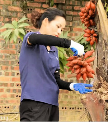 Femme et fruits exotiques 
