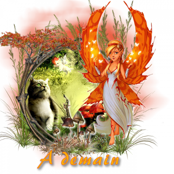 e809aa406606aacd37d456c90a177a854b7ba44c24